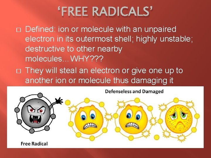 ‘FREE RADICALS’ � � Defined: ion or molecule with an unpaired electron in its