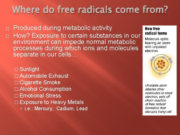 Where do free radicals come from? � � Produced during metabolic activity How? Exposure