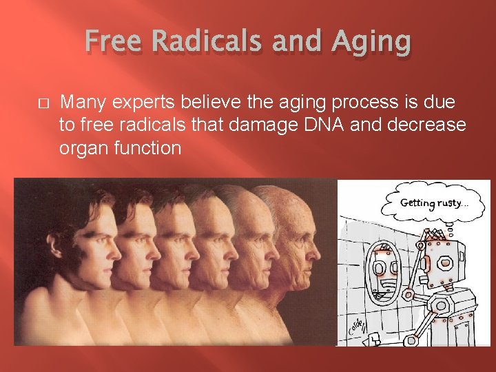 Free Radicals and Aging � Many experts believe the aging process is due to