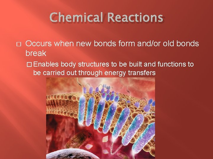 Chemical Reactions � Occurs when new bonds form and/or old bonds break � Enables