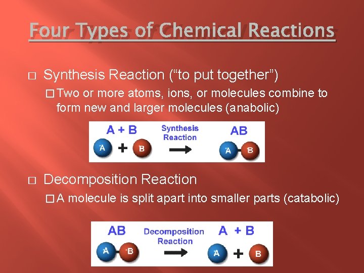 Four Types of Chemical Reactions � Synthesis Reaction (“to put together”) � Two or