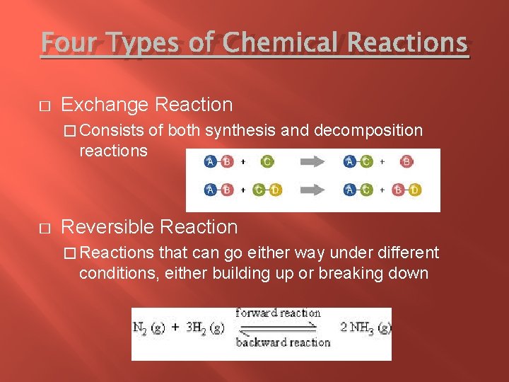 Four Types of Chemical Reactions � Exchange Reaction � Consists of both synthesis and