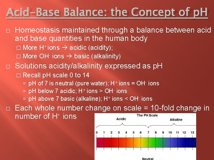 Acid-Base Balance: the Concept of p. H � Homeostasis maintained through a balance between