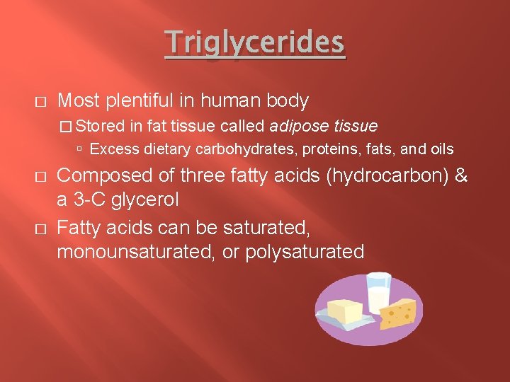 Triglycerides � Most plentiful in human body � Stored in fat tissue called adipose