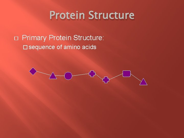 Protein Structure � Primary Protein Structure: � sequence of amino acids 
