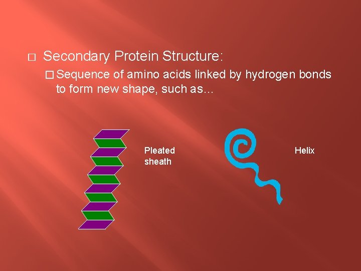 � Secondary Protein Structure: � Sequence of amino acids linked by hydrogen bonds to