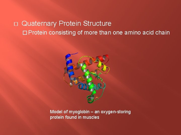 � Quaternary Protein Structure � Protein consisting of more than one amino acid chain