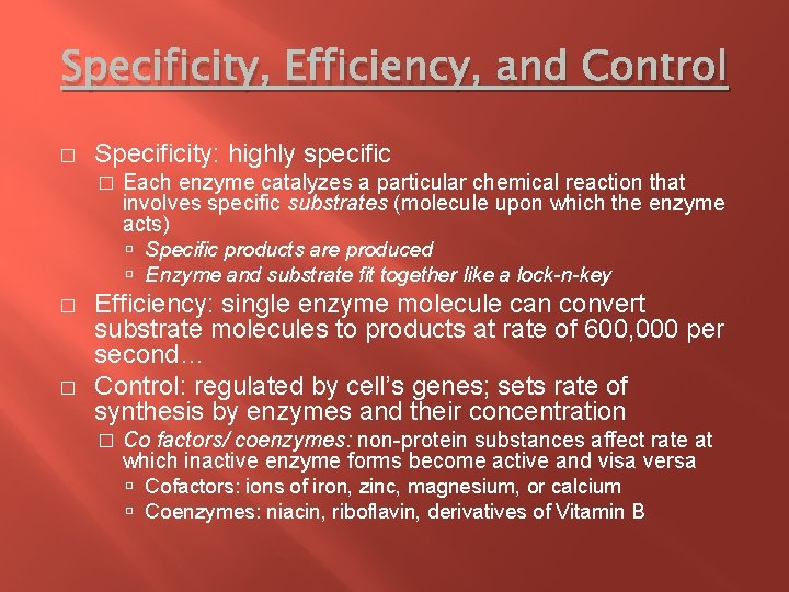 Specificity, Efficiency, and Control � Specificity: highly specific � Each enzyme catalyzes a particular