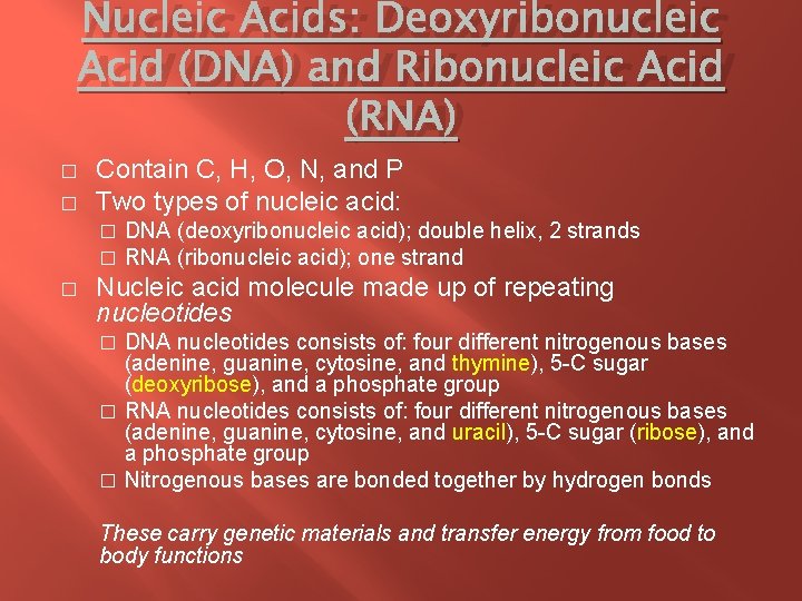 Nucleic Acids: Deoxyribonucleic Acid (DNA) and Ribonucleic Acid (RNA) � � Contain C, H,