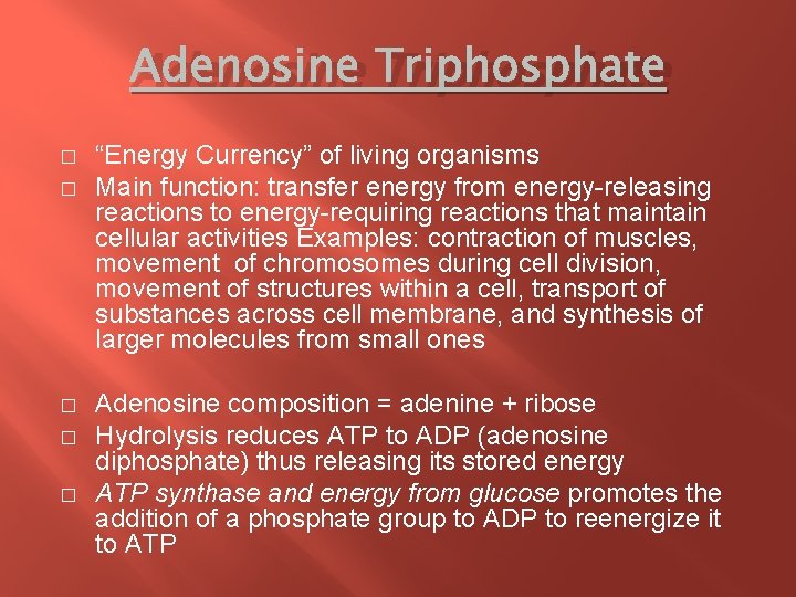 Adenosine Triphosphate � � � “Energy Currency” of living organisms Main function: transfer energy