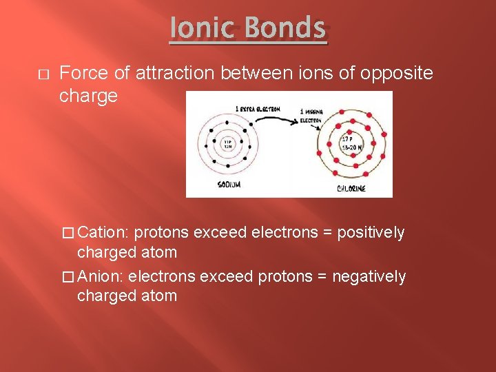 Ionic Bonds � Force of attraction between ions of opposite charge � Cation: protons