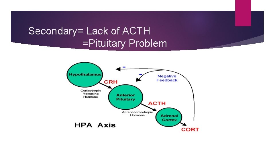 Secondary= Lack of ACTH =Pituitary Problem 