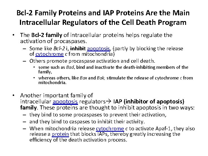 Bcl-2 Family Proteins and IAP Proteins Are the Main Intracellular Regulators of the Cell