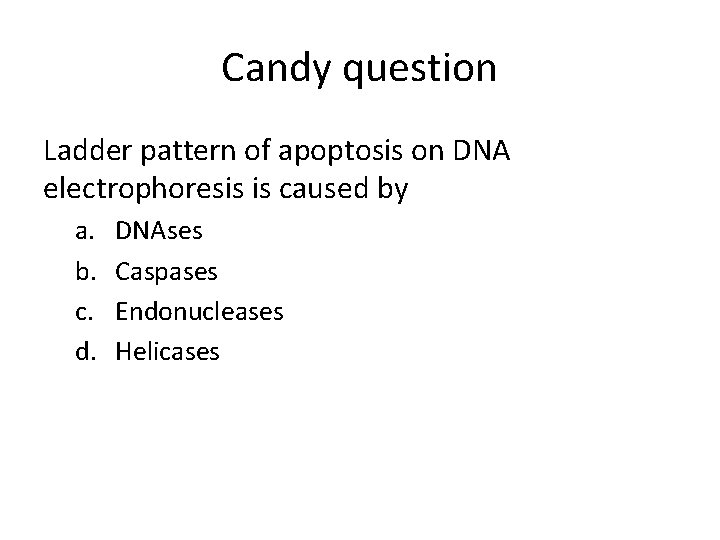 Candy question Ladder pattern of apoptosis on DNA electrophoresis is caused by a. b.