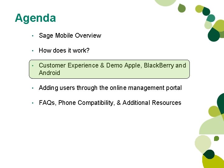 Agenda • Sage Mobile Overview • How does it work? • Customer Experience & Agenda • Sage Mobile Overview • How does it work? • Customer Experience &