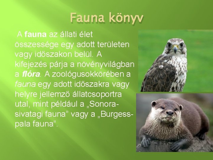 Fauna könyv A fauna az állati élet összessége egy adott területen vagy időszakon belül.