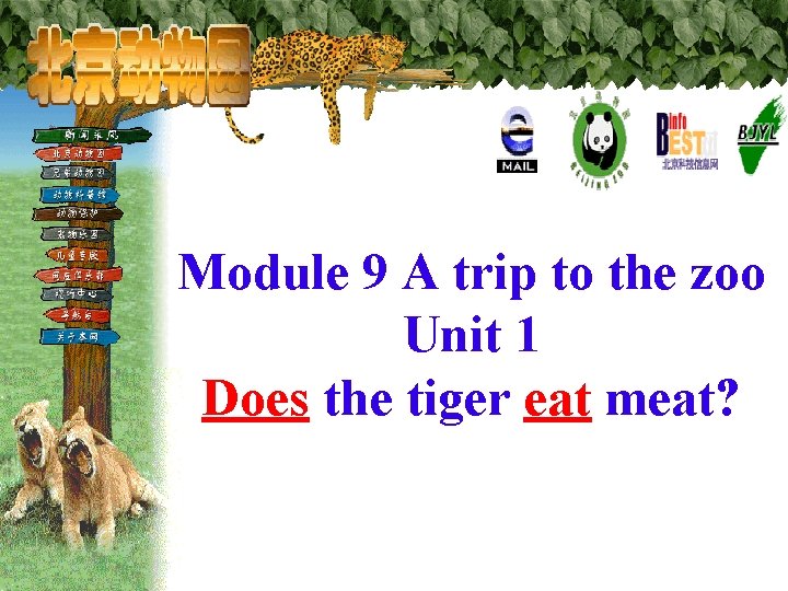 Module 9 A trip to the zoo Unit 1 Does the tiger eat meat?