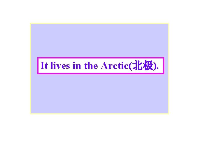 It lives in the Arctic(北极). 