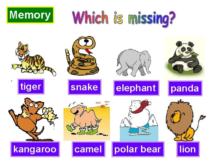 Memory tiger kangaroo snake camel elephant panda polar bear lion 