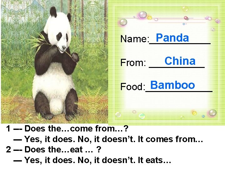 Panda Name: ______ China From: _____ Bamboo Food: ______ 1 --- Does the…come from…?