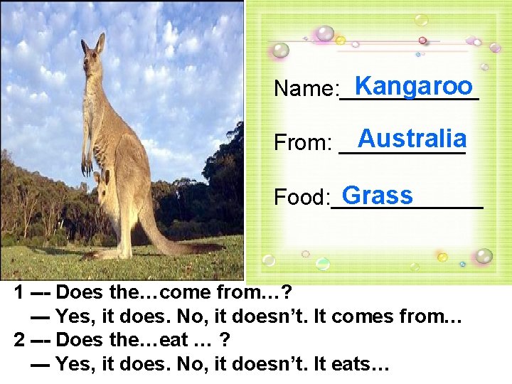 Kangaroo Name: ______ Australia From: _____ Grass Food: ______ 1 --- Does the…come from…?