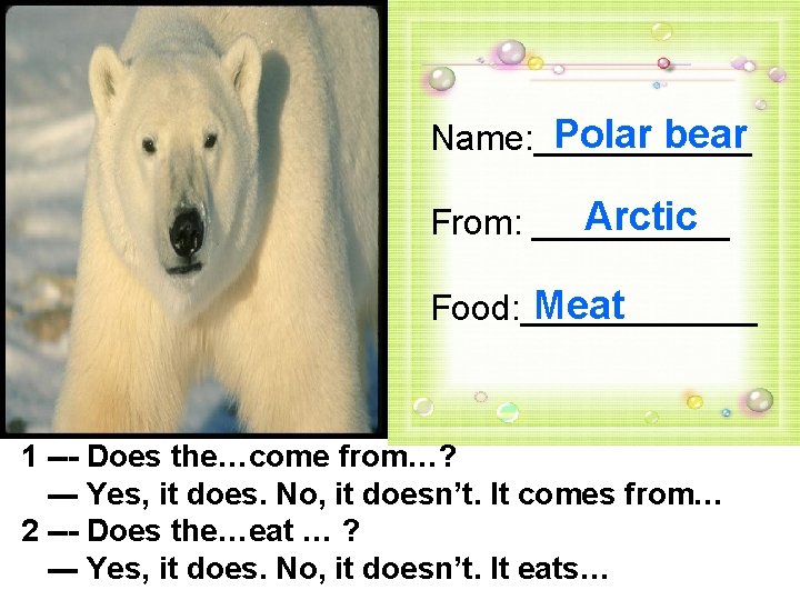 Polar bear Name: ______ Arctic From: _____ Meat Food: ______ 1 --- Does the…come