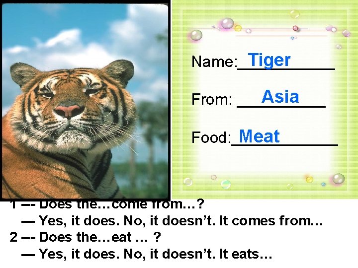 Tiger Name: ______ Asia From: _____ Meat Food: ______ 1 --- Does the…come from…?
