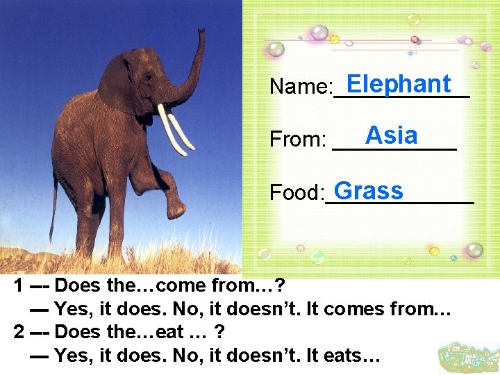 Elephant Name: ______ Asia From: _____ Grass Food: ______ 1 --- Does the…come from…?