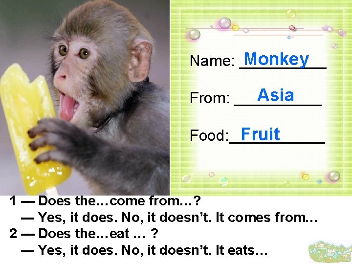 Monkey Name: _____ Asia From: _____ Fruit Food: ______ 1 --- Does the…come from…?