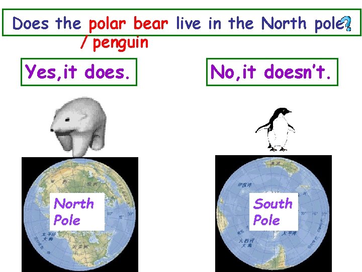 Does the polar bear live in the North pole ／penguin Yes, it does. North