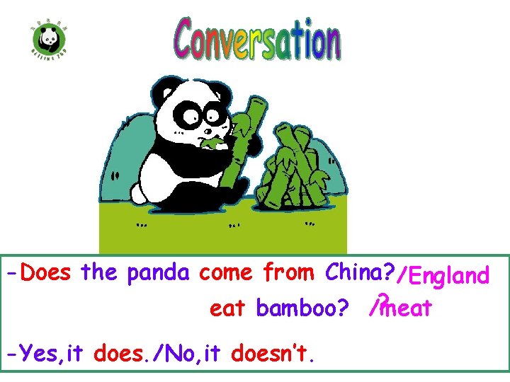 -Does the panda come from China? /England ? eat bamboo? /meat -Yes, it does.