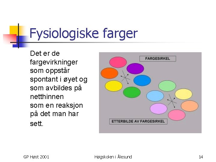 Fysiologiske farger Det er de fargevirkninger som oppstår spontant i øyet og som avbildes