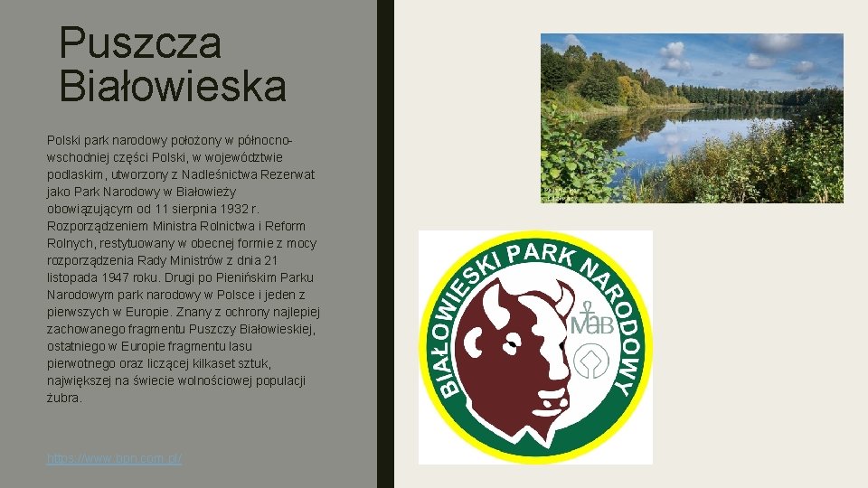 Puszcza Białowieska Polski park narodowy położony w północnowschodniej części Polski, w województwie podlaskim, utworzony