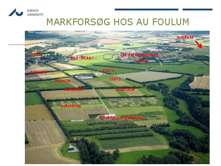 AARHUS UNIVERSITY MARKFORSØG HOS AU FOULUM Semifield DONG (Økologisk platform) VIRKN MULTIPLANT CENTS ECOSERV