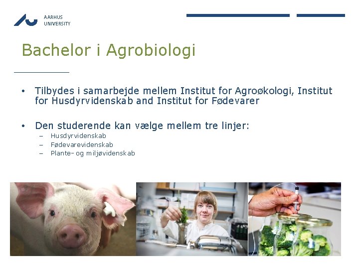 AARHUS UNIVERSITY Bachelor i Agrobiologi • Tilbydes i samarbejde mellem Institut for Agroøkologi, Institut