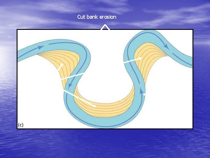 Cut bank erosion Point bar deposits } Meander loop 