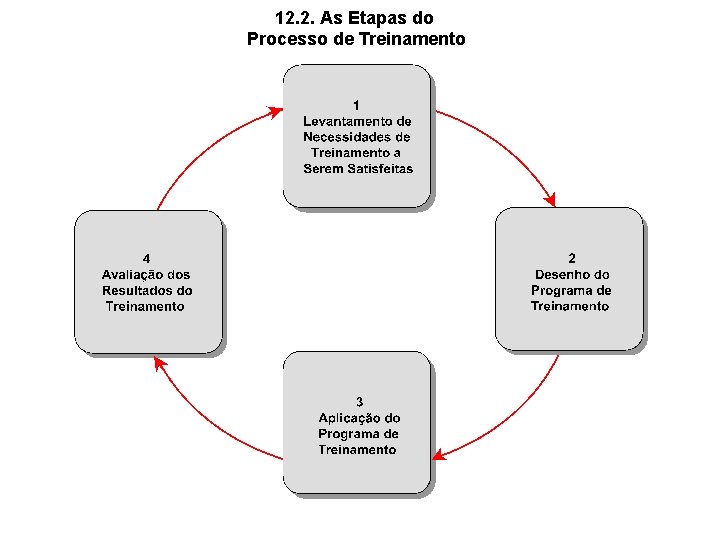  12. 2. As Etapas do Processo de Treinamento 