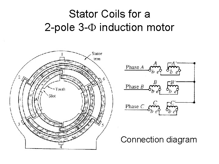 Stator Coils for a 2 -pole 3 - induction motor Connection diagram 