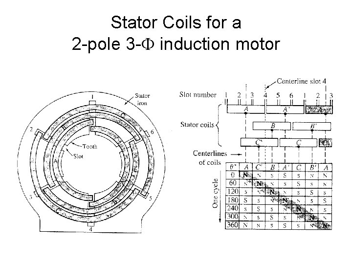 Stator Coils for a 2 -pole 3 - induction motor 