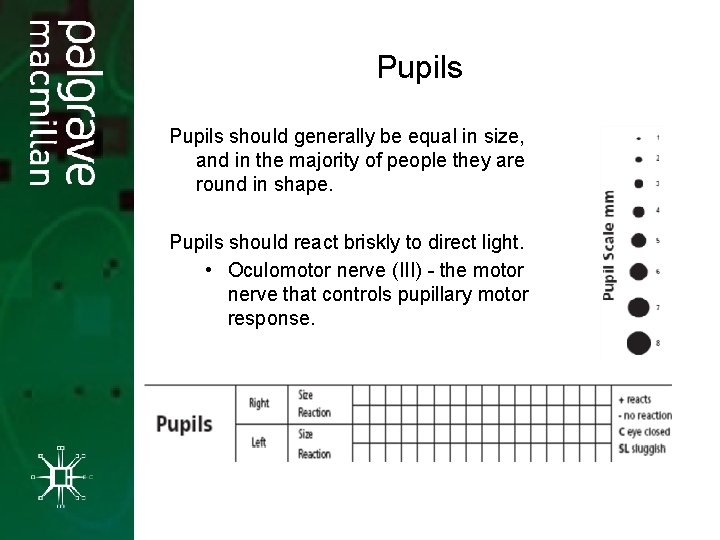 Pupils should generally be equal in size, and in the majority of people they