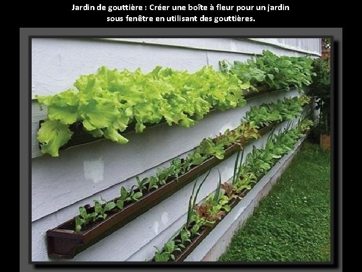 Jardin de gouttière : Créer une boîte à fleur pour un jardin sous fenêtre