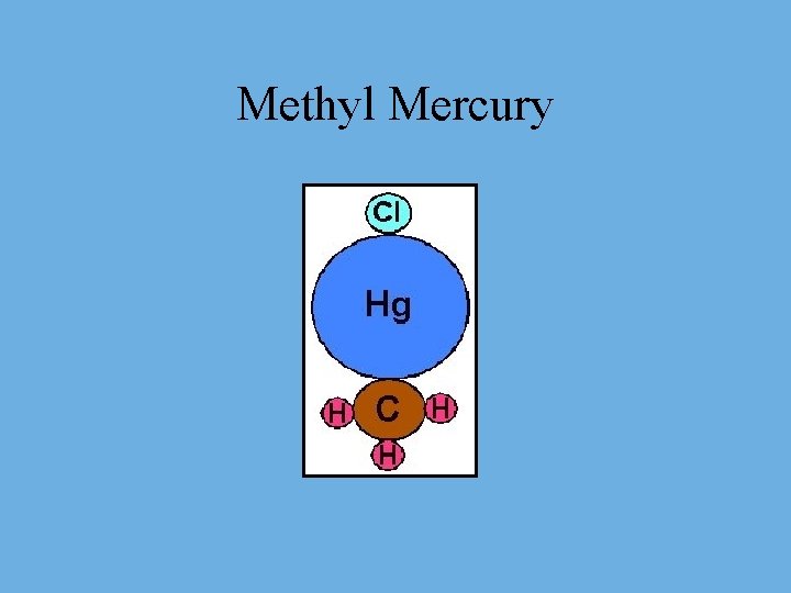 Methyl Mercury 