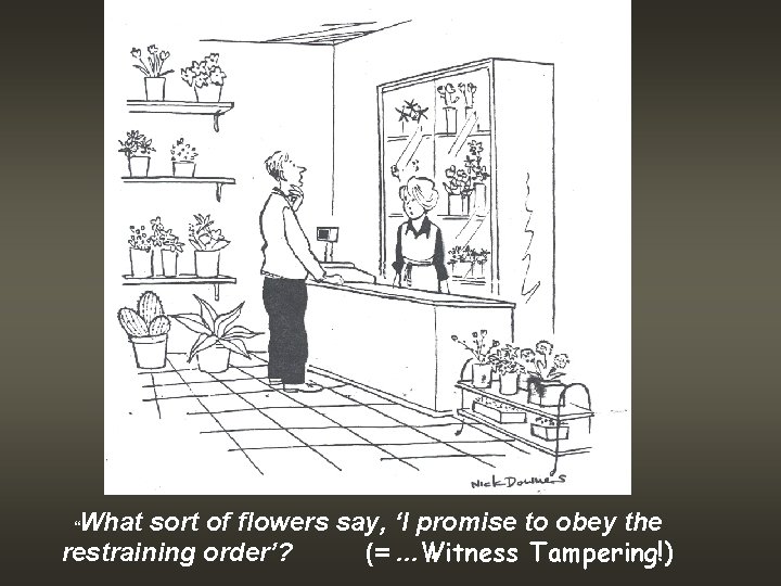 What sort of flowers say, ‘I promise to obey the restraining order’? (=. .