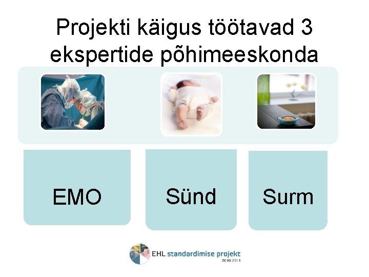 Projekti käigus töötavad 3 ekspertide põhimeeskonda EMO Sünd Surm 