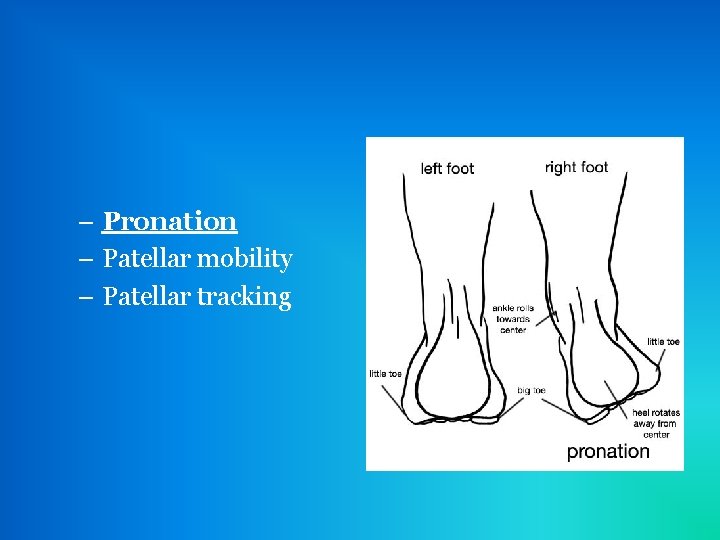 – Pronation – Patellar mobility – Patellar tracking 