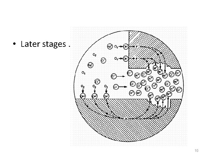  • Later stages … 10 