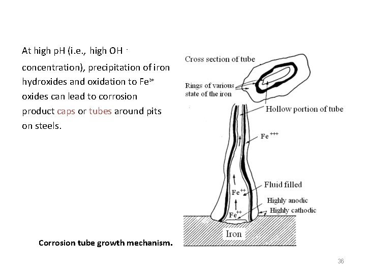 At high p. H (i. e. , high OH - concentration), precipitation of iron