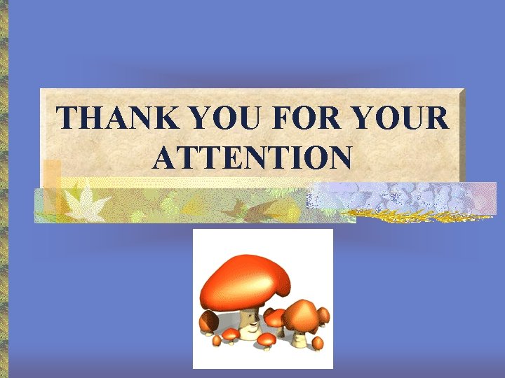 THANK YOU FOR YOUR ATTENTION 