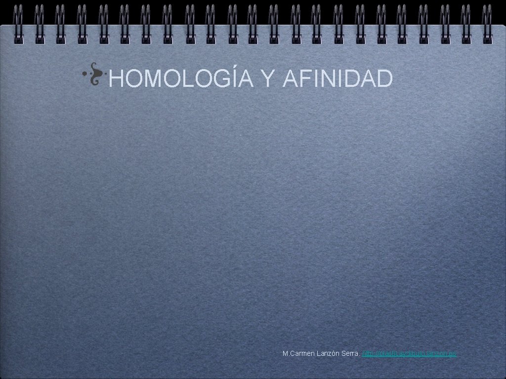 HOMOLOGÍA Y AFINIDAD M. Carmen Lanzón Serra. http: //plasticaydibujo. lanzon. es 
