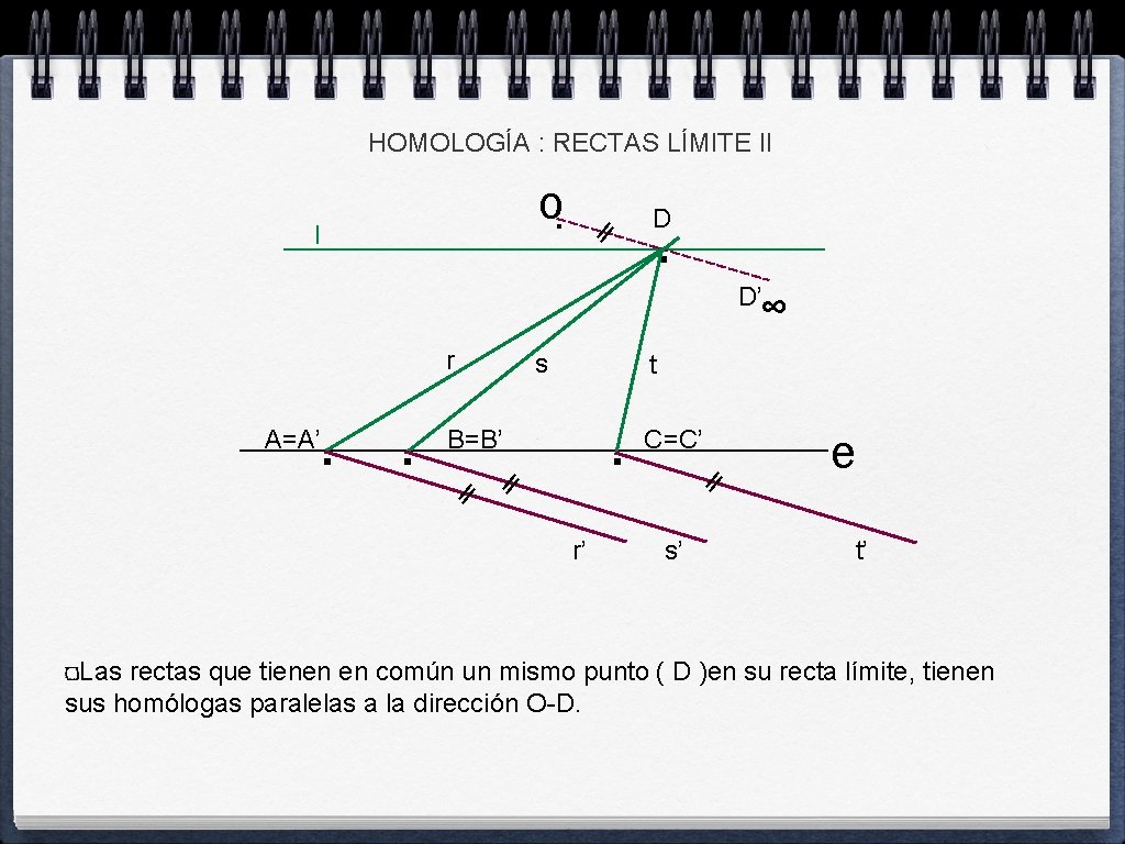 HOMOLOGÍA : RECTAS LÍMITE II o. l . D D’ ∞ r . .